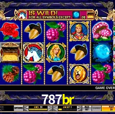 Descubra a Essência do 787br: Nossa História e Compromissos