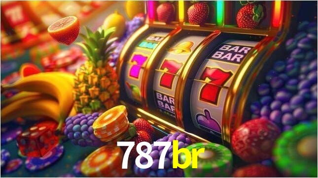 Security Systems 787br